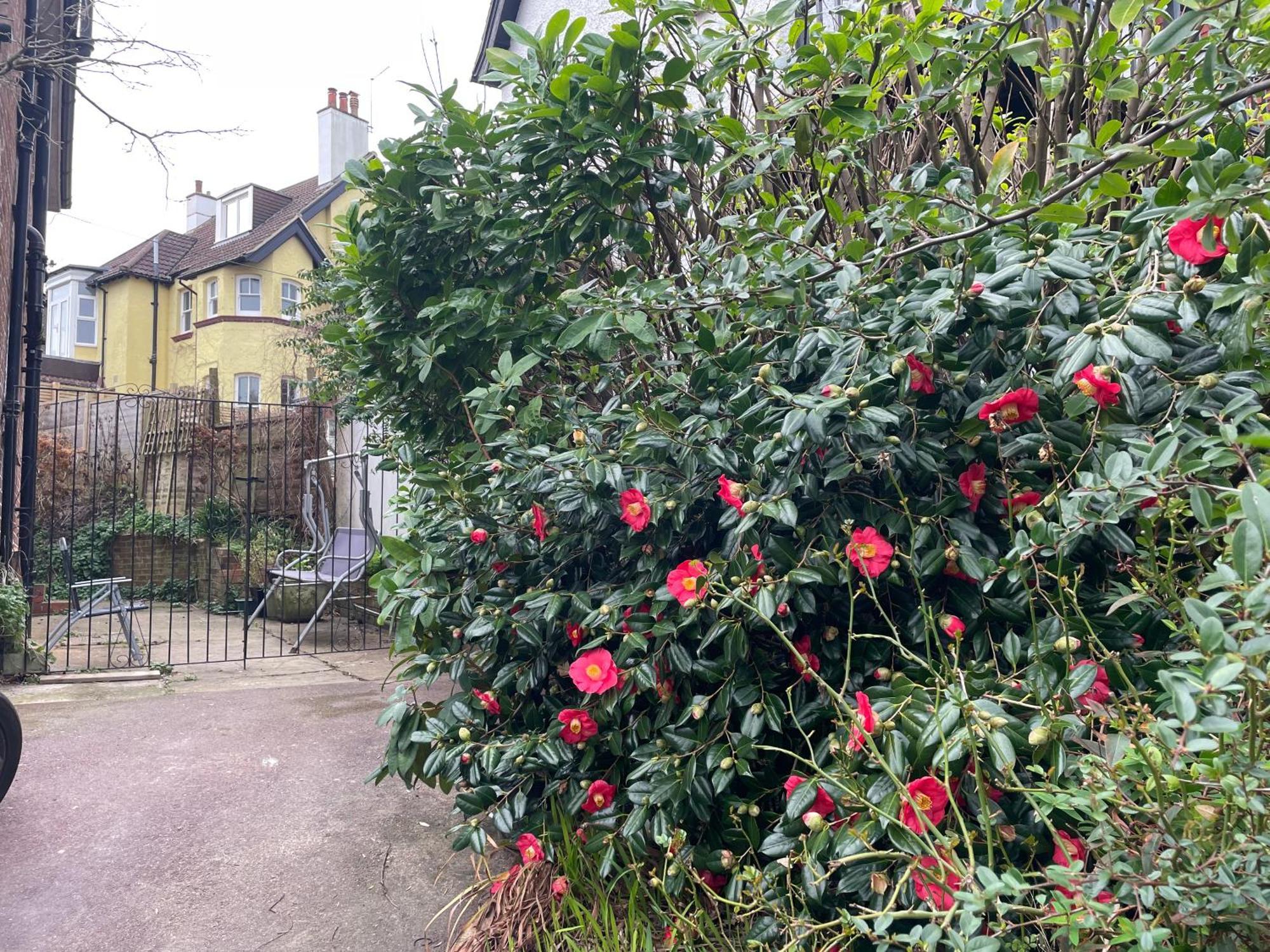 Bed and Breakfast Livadia House At St Leonards On Sea Exteriér fotografie